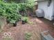 Lush backyard space with vegetation and a covered grill area at 2610 Marywood Dr, Southport, IN 46227