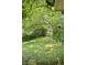 Lush green backyard with a tree stump at 130 S Arlington Ave, Indianapolis, IN 46219