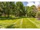 Picture of a well-manicured lawn with several shady trees in the backyard at 14030 Old Mill Ct, Carmel, IN 46032
