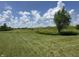 Expansive green space with a tree and clear skies creating a peaceful atmosphere at 1406 Bigleaf Cir, Sheridan, IN 46069