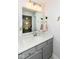 Well-lit bathroom featuring a gray vanity, a large mirror, and stylish decorative accents at 16283 Spring Bank Ct, Fishers, IN 46040