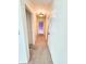 Neutral hallway with carpet flooring and classic lighting, leading to various rooms at 4501 N Wheeling Ave # 5E4, Muncie, IN 47304