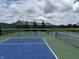 Exterior view of community pickleball courts surrounded by tall green fence at 4905 Lilium Dr, Plainfield, IN 46168
