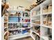 Walk-in pantry with organized shelving for optimal storage and easy access to food items at 14737 Macduff Dr, Noblesville, IN 46062