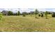 Large backyard featuring a well-manicured lawn and some trees, offering a serene space for outdoor enjoyment at 15984 Conductors Dr, Westfield, IN 46074