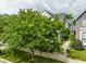 This aerial view captures the lush greenery surrounding the home, enhancing its curb appeal and its quiet neighborhood setting at 1610 N Alabama St, Indianapolis, IN 46202