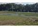 Scenic community pond with lush greenery, offering a tranquil and picturesque view for residents at 3142 Lennon Ln, Indianapolis, IN 46235
