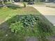 Landscaping in the front yard at 4032 Roselawn Ave, Columbus, IN 47203