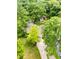 Aerial view shows a home with various outbuildings and mature trees at 6379 Monitor Dr, Indianapolis, IN 46220