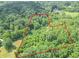 Aerial view of tree-covered land outlined in red at 7303 W Division Rd, Bargersville, IN 46106