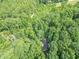 Aerial view of a house surrounded by dense trees at 7303 W Division Rd, Bargersville, IN 46106