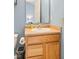Bathroom featuring blue paint, wood vanity, and a classic faucet at 772 Cembra Dr, Greenwood, IN 46143
