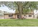 Large backyard with mature trees, perfect for outdoor activities and relaxation at 3224 Prague Rd, Indianapolis, IN 46227