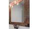 Close up of the bathroom mirror with industrial light fixture and bronze hardware at 4150 Huntsman Dr, Zionsville, IN 46077