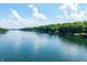 Scenic aerial view of the lake and surrounding homes along the shoreline at 6300 Grouse Dr, Nineveh, IN 46164