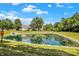 Scenic pond view with lush greenery and blue sky, reflecting the home's peaceful backyard setting at 14373 Orange Blossom Trl, Fishers, IN 46038
