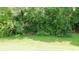 Green backyard with trees and undergrowth on the edge of the property at 11445 Congaree Way, Indianapolis, IN 46235