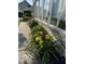 Landscaped yard featuring flowering plants near the building's foundation at 11503 Winding Wood Dr, Indianapolis, IN 46235