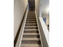 Carpeted stairs with modern railing provide access to upper floors at 696 Scarsdale Ln, Danville, IN 46122