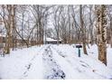 A long driveway leads to a charming house nestled among snow-covered trees at 10555 E 400 S, Zionsville, IN 46077