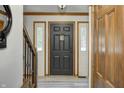 Welcoming entryway featuring a black front door, wood trim, and luxury vinyl plank flooring at 1487 Brook Mill Ct, Carmel, IN 46032