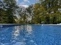 A close-up shot of a shimmering pool with blue tile under a leafy tree canopy at 6902 Creekridge Trl, Indianapolis, IN 46256