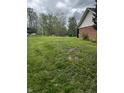 Expansive side yard with lush green grass surrounded by mature trees; a beautiful outdoor space at 454 Tulip Dr, Mooresville, IN 46158
