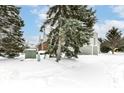 Side view of a townhouse with snowy landscaping and evergreen trees at 5921 Bastille Ln, Indianapolis, IN 46254