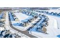 Aerial view showcasing the home's location in a snow-covered neighborhood at 12346 Palmetto Bay St, Fishers, IN 46037