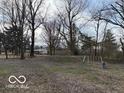 Large backyard with mature trees and a playset at 3970 N Bradford Rd, Martinsville, IN 46151