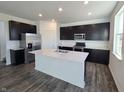 Modern kitchen with dark cabinetry, quartz countertops, and stainless steel appliances at 8798 Walker St, Fortville, IN 46040