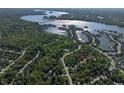 Aerial view of the neighborhood, lake, and surrounding lush greenery at 13650 Golden Ridge Ln, Fishers, IN 46055