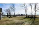 View of a large backyard with open space and trees at 4667 W Meadows Ln, New Palestine, IN 46163