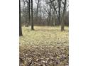 Wooded lot with leaf covered ground at 1831 Luther St, Indianapolis, IN 46203