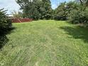 Large backyard with plenty of grass at 5619 Pappas Dr, Indianapolis, IN 46237