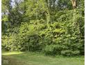 Lush green trees and shrubs create a private backyard at 10391 Butler Dr, Brownsburg, IN 46112