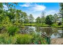 Scenic pond surrounded by lush greenery and trees, creating a serene and picturesque landscape at 9600 N 500 E, Pendleton, IN 46064