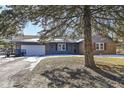 Ranch home with attached garage and landscaping at 1269 Casco Bay Cir, Cicero, IN 46034