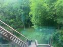 A backyard view of trees and greenery at 14565 Geist Ridge Dr, Fishers, IN 46040