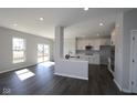 Open concept living space with modern floors, stainless appliances, and bright natural light at 4229 Douro Trl, Westfield, IN 46062