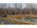 Community pond with walking path and wooded backdrop at 9891 Sunbranch Dr, Carmel, IN 46290