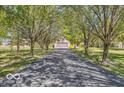 Long paved driveway with mature trees on either side, leading to a brick home with an attached garage at 4030 W 193Rd St, Westfield, IN 46074