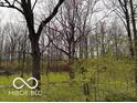 Picturesque view of wooded lot with colorful flowering trees creating a tranquil atmosphere at 7971 Conarroe Rd, Indianapolis, IN 46278