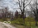 Scenic view of a tree-lined driveway leading to a charming home in a peaceful setting at 7971 Conarroe Rd, Indianapolis, IN 46278