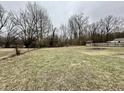 Expansive backyard with a mix of open lawn and trees at 1921 E State Road 42, Mooresville, IN 46158
