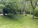 Lush, green backyard with mature trees offering ample shade and privacy at 530 Lansdowne Rd, Indianapolis, IN 46234