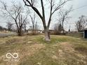 Large backyard with a mature tree at 3039 N Campbell Ave, Indianapolis, IN 46218