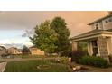 Well-manicured front yard with lush green grass, mature trees, and beautiful landscaping at 6861 Park Grove Blvd, Whitestown, IN 46075