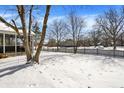 View of backyard showing a privacy fence, green spaces, and winter trees at 10010 Ashbury Cir, Fishers, IN 46037