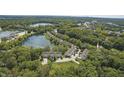 Serene aerial view of townhomes nestled amidst lush greenery and a tranquil lake at 6756 Shore Island Dr, Indianapolis, IN 46220